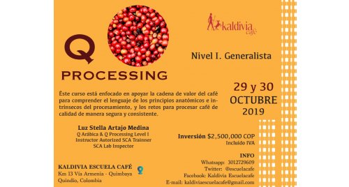 Q - Processing. Nivel 1.