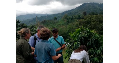 CAFÉ & PLÁTANO