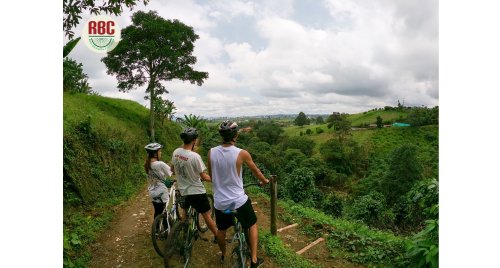 Coffee Bike Tour