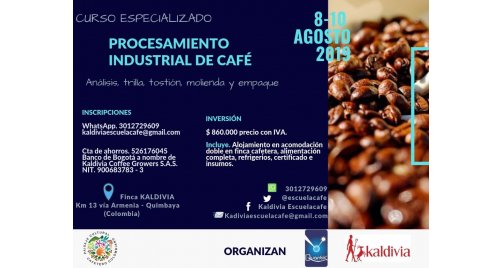 Curso especializado en industrialización de Cafés Especiales
